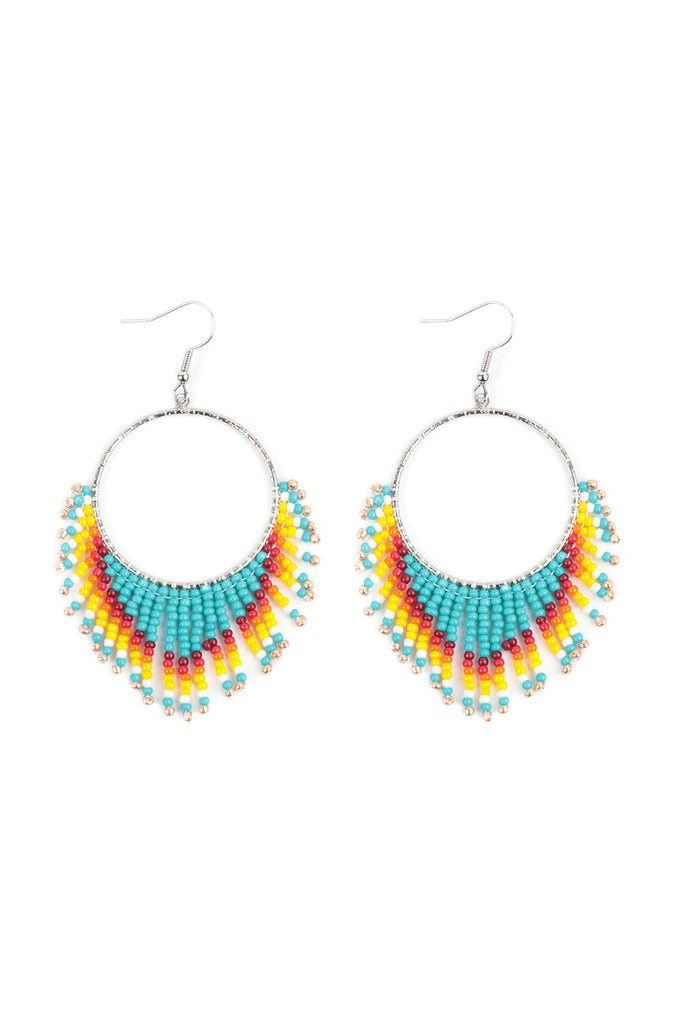 Brand New!! Tassel hoop fishhook earrings  Fish hook earrings, Shop  earrings, Tassel jewelry